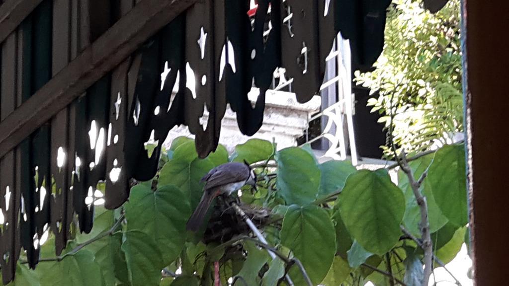 Hom Baan Chiang Mai Ξενοδοχείο Εξωτερικό φωτογραφία