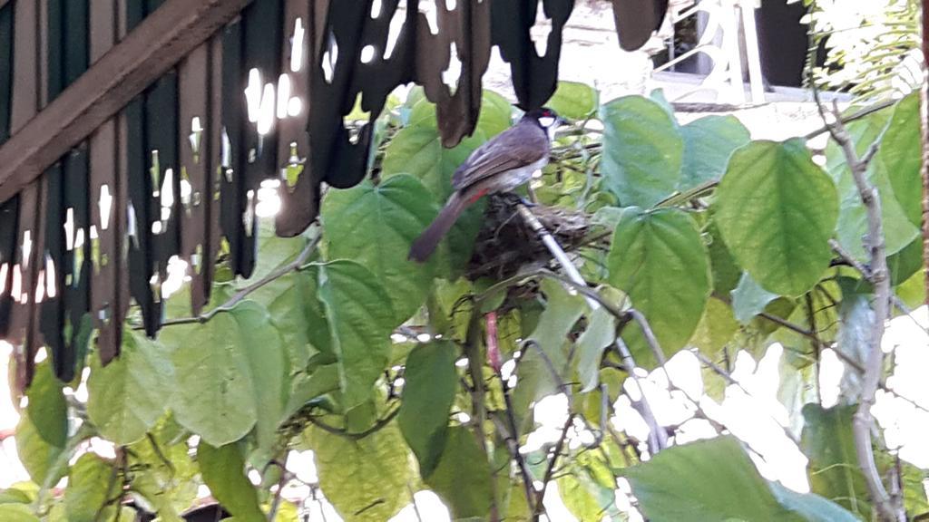 Hom Baan Chiang Mai Ξενοδοχείο Εξωτερικό φωτογραφία