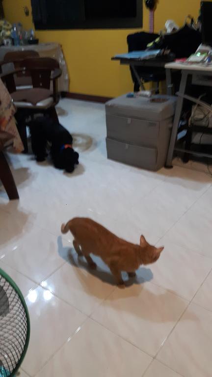 Hom Baan Chiang Mai Ξενοδοχείο Εξωτερικό φωτογραφία